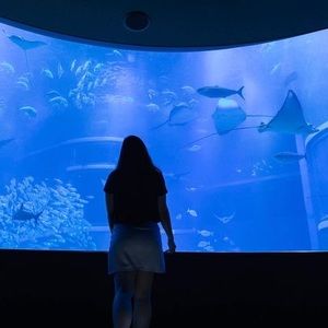 Meet your Posher, Chew